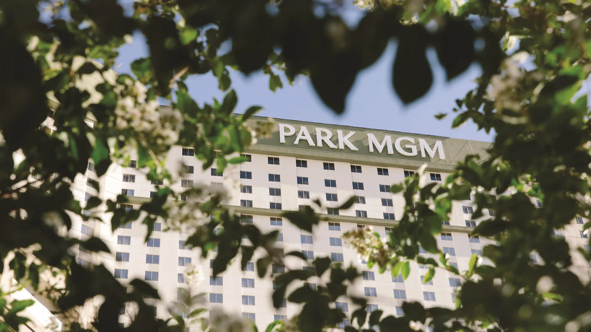 Resort Park Mgm Las Vegas